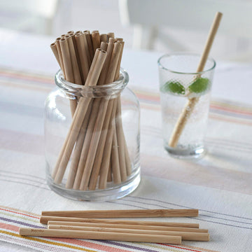 Reusable Bamboo Straws - Singles