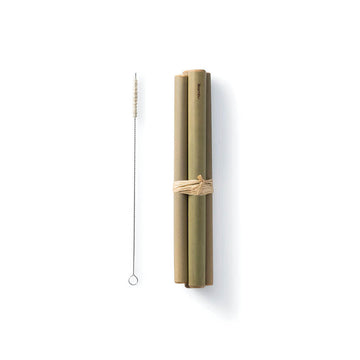 Reusable Jumbo Bamboo Straws, Set of 4
